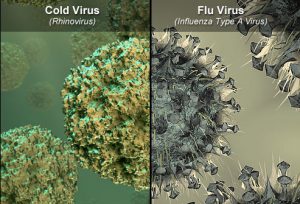 ГРВІ викликається різними вірусами